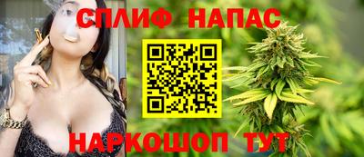 гашик Тара