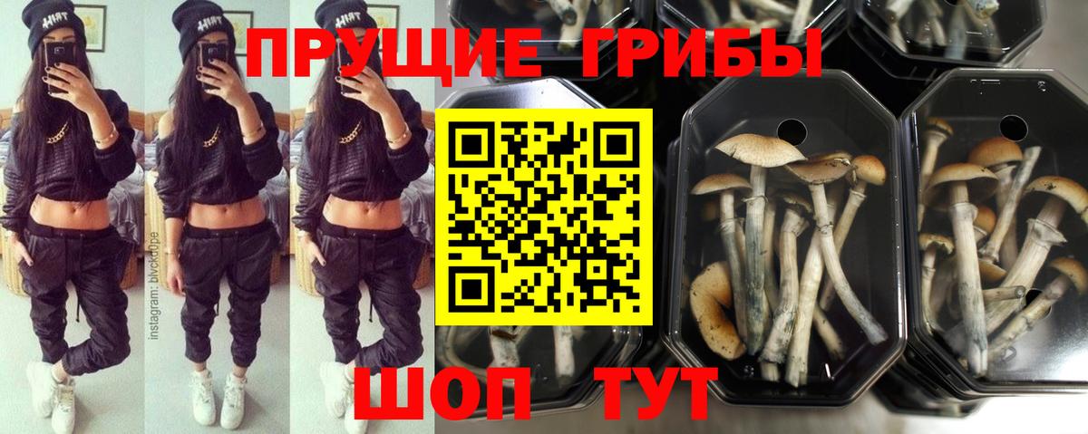 Галлюциногенные грибы мухоморы Лениногорск